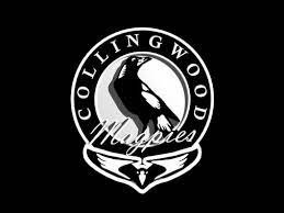 Rugby league rugby players team player collingwood football club australian football league husband best friend happy guy rugby men sports training. Collingwood Football Club 1024x768 Download Hd Wallpaper Wallpapertip