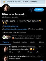 Nikocado avocado twitter