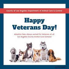 Spcala south bay pet adoption center 12910 yukon avenue hawthorne, ca 90250. La Co Animal Care Lacoanimalcare Twitter
