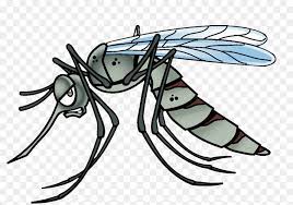 View full size nyamuk aedes aegypti kartun clipart and download transparent clipart for free! 32 Gambar Kartun Nyamuk Aedes 8000 Gambar Animasi Nyamuk Hd Paling Keren Infobaru Download Sayuran Ini Percepat Penyemb Seni Karakter Gambar Kartun Kartun