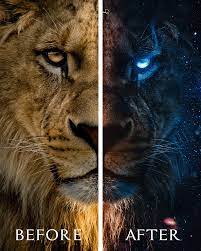 The lion king grossed $422.8 million in north america and $545.7 million in other territories, for a worldwide total of $968.5 million. The Lion King King Of The Jungle On Behance