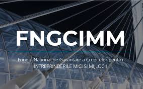 In primul rand, prin locuinta in sensul programului «prima potrivit ordonantei de urgenta nr. Bancherul Fngcimm A Fost Transformat In Mod Gresit Dintr Un Fond De Garantare A Creditelor Pentru Firme Intr Unul Pentru Programul Prima Casa