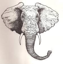 Elephant Head By Scheinberg On Deviantart Elephant Head Drawing Elephant Drawing Elephant Face