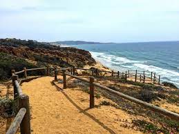 When it's too hot to hike in the mountains, locals head to torrey pines state natural reserve. All You Need To Know About Torrey Pines Hiking Trails