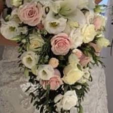 Born into a family of musicians, josé began his musical career in his early teens playing guitar and singing in serenade. The Best 10 Flowers Gifts Near Cabo Azul In San Jose Del Cabo Baja California Sur Yelp