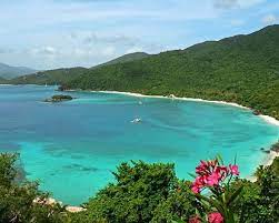 Cinnamon Bay Cinnamon Bay Virgin Islands Vacation Spots Dream Vacations Vacation