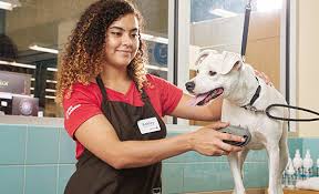 Why pay to lock your dog in a cage? Becoming A Petco Certified Groomer Petco