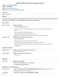 Ahmed Almaharby junior accountant CV