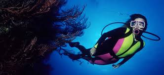 Welcome To Lost Island Voyages Scuba Diving Adventures In The Bahamas Miami Fl