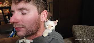 Amy and Joe Etheridge, of Cat Spring, say they dropped off their son,  Windom, at Camp La Junta in Hunt, about 13 miles west of Kerrville, last  week.