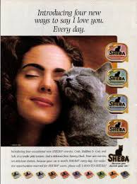 CAT FANCY ~ Oct 1995 ~ Bengal Mania ~ Lillian Braun ~ Litter Box Lapses ~  NEW