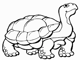 Use this lesson in your classroom, homeschooling curriculum or just as a fun kids activity that you as a parent can do. Tortoise Coloring Pages Coloring Home