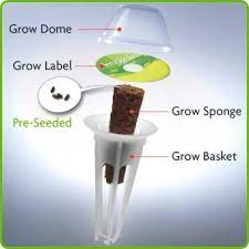 Whenever You Decide To Plant New Plants On Your Aerogarden You Have To Buy New A Seed Pod Kit Or Wrong You Can Now Reu Aerogarden Pods Aerogarden Seed Pods