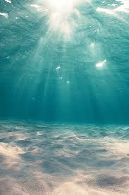 Check spelling or type a new query. Resolusi Tinggi Kapal Selam Biru Hijau S Unduh Gratis Jpg Laut Png Pngwing