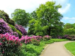 10 Meilleurs Hotels Proches Jardin Des Plantes Avranches Sur Tripadvisor