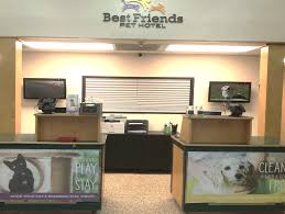 Since it's not that easy to find an apartment that is perfect for your special family member, there are some points that you have to keep in mind. Best Friends Pet Hotel Best Friends Pet Care Houston Tx