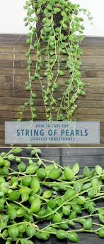 Pin On Entrance