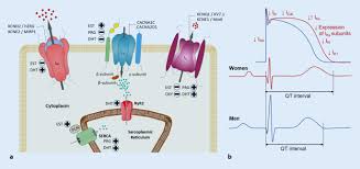 Arrhythmic Risk During Pregnancy And Postpartum In Patients With Long Qt Syndrome Springerlink
