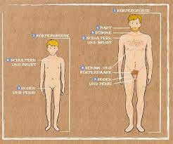 Jungen kommen im durchschnitt ein bis zwei jahre später in die pubertät als. Pubertat Wenn Kopf Und Korper Erwachsen Werden Geolino