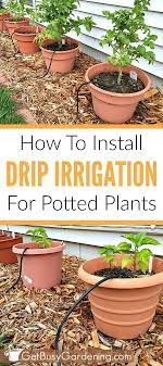 How To Install A Diy Drip Irrigation System For Potted Plants Plant Watering System Drip Irrigation Diy Garden Watering System