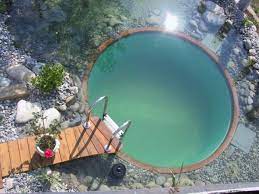 Small pool with wide deck. How To Build Your Own Natural Plunge Pool Your Projects Obn