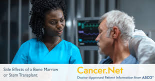 These mutations increase their risk for the disease. What Is A Bone Marrow Transplant Stem Cell Transplant Cancer Net