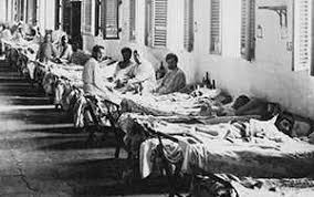 Image result for Yellow Fever