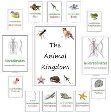Pin On Worksheets Printables For Preschool To 2nd Grade