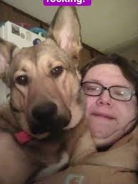 Dangers of using collars