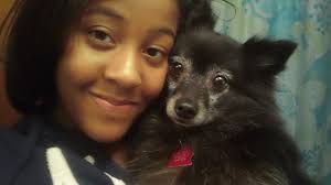 Lost dog in holly grove area of Davidson County, NC