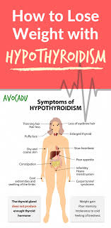 Losing Weight Plans 638 Losingweightplans Hypothyroidism Diet Plan Enlarged Thyroid Thyroid Diet