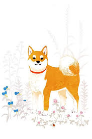 Shiba Inu Drawing Shiba Inu Dog Illustration Dog Drawing