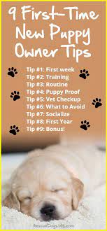 First Time Dog Owners Guide Checklist Tips New Puppy Puppy Time Puppy Proofing