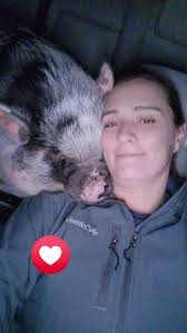 I couldn't resist 😆