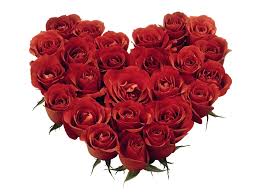 Try refreshing to keep hearting. Inspirational Beautiful Flower Heart Images Top Collection Of Different Types Of Flowers In The Images Hd