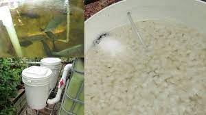 Moving Bed Biofilter Ap Update 14th March 2014 Youtube