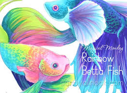 We're glad to help with fish compatibility, disease diagnosis, livestock/plant issues and other general tank problems. Magical Monday Rainbow Betta Fish Drawing