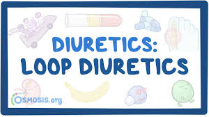 Image result for Loop Diuretic