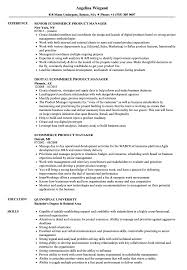 The product marketing manager resume is available in word format. Ecommerce Product Manager Resume Samples Velvet Jobs