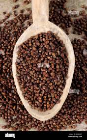 Image result for Aframomum mala