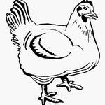 Neh wiwil ada sketsa gambar anak ayam yang baru menetas loh, lucu banget tau. Pin Di Ayam