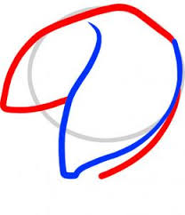 Fortune Cookie Drawing At Paintingvalley Com Explore Collection Of Fortune Cookie Drawing Have you ever wanted to make the kind of fortune cookies that you find in your local chinese restaurant? fortune cookie drawing at