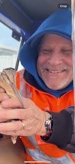 A Sight of “Inspiration” … Since the American Woodcock is a “migratory”  bird,, Regulation and Conservation generally falls under the authority of  the USFWS. But it's nice to see our state of