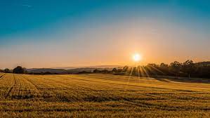 Field meaning, definition, what is field: Custom Field Handling In Elasticsearch Managing Total Number Of Fields Limit Dzone Big Data