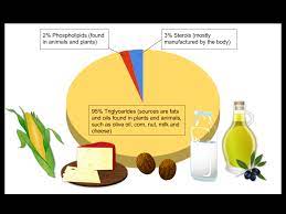Lipid Types And Structures Nutrition Science And Everyday Application