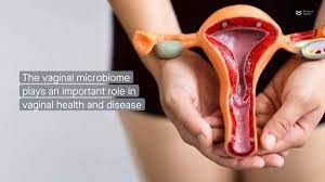人間の膣内環境を再現した「ヴァギナ・チップ」が開発される、膣内細菌叢や病気の研究に大きな進展 - GIGAZINE