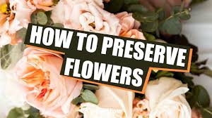 Maybe you would like to learn more about one of these? Learn How To Preserve Flowers Shorts Youtube