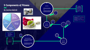 See full list on sportscienceinsider.com 5 Components Of Fitness By Jasmine Gabrish On Prezi Next