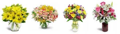 He was the fourth son of elias disney‍—‌born in the province of canada, to irish parents‍—‌and flora (née call), an american of german and english descent. The 8 Best Options For Flower Delivery In San Mateo 2021