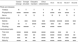 influence of rootstock on citrus tree growth effects on